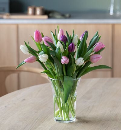 15 tulipaner kalde farger